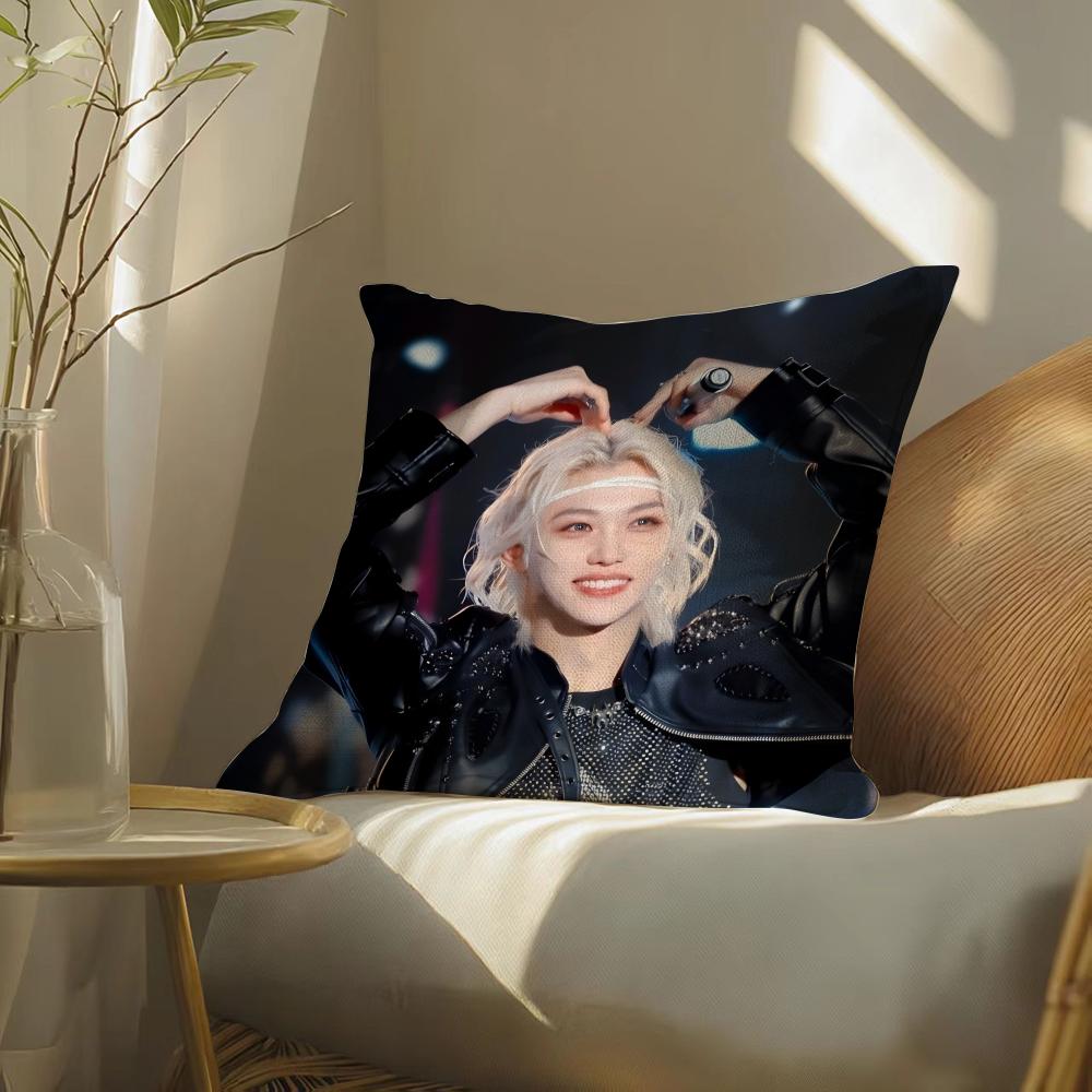 S-Strayskidssf-Felixs Pillow Case Pillowcase, Double-Sided Printed, Sofa Cushion, Bedroom Headboard