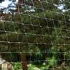 Cat Balcony Net Cat Anti/Fall Fence Net Dog Fence Nets Black Nylon Pet Mesh Fence