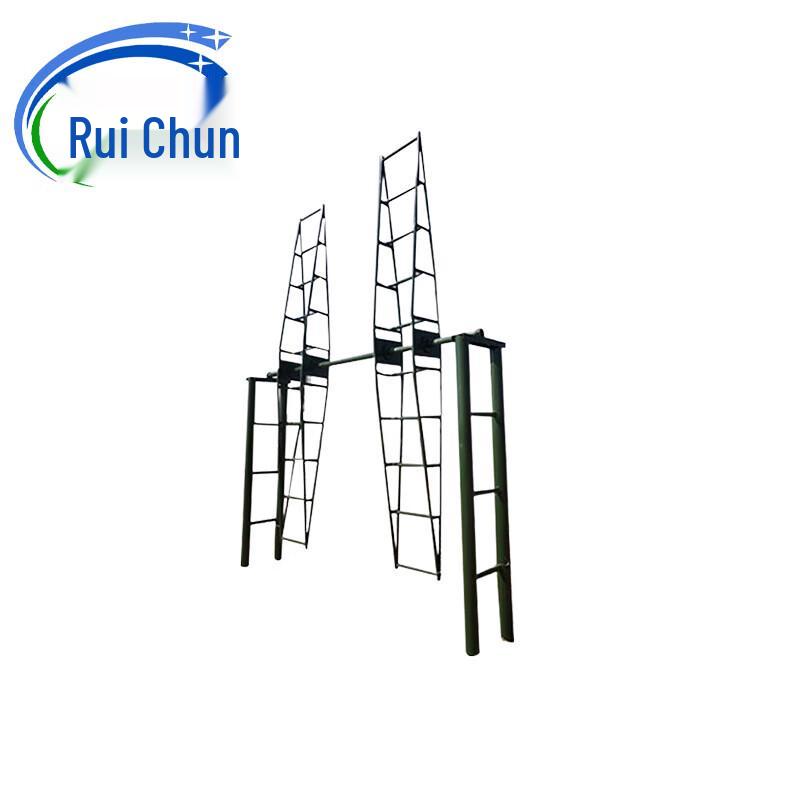 Ruichun Dual-Person Steel Flight Dizziness Trainer