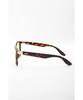 Coleman sunglasses CTL09-2