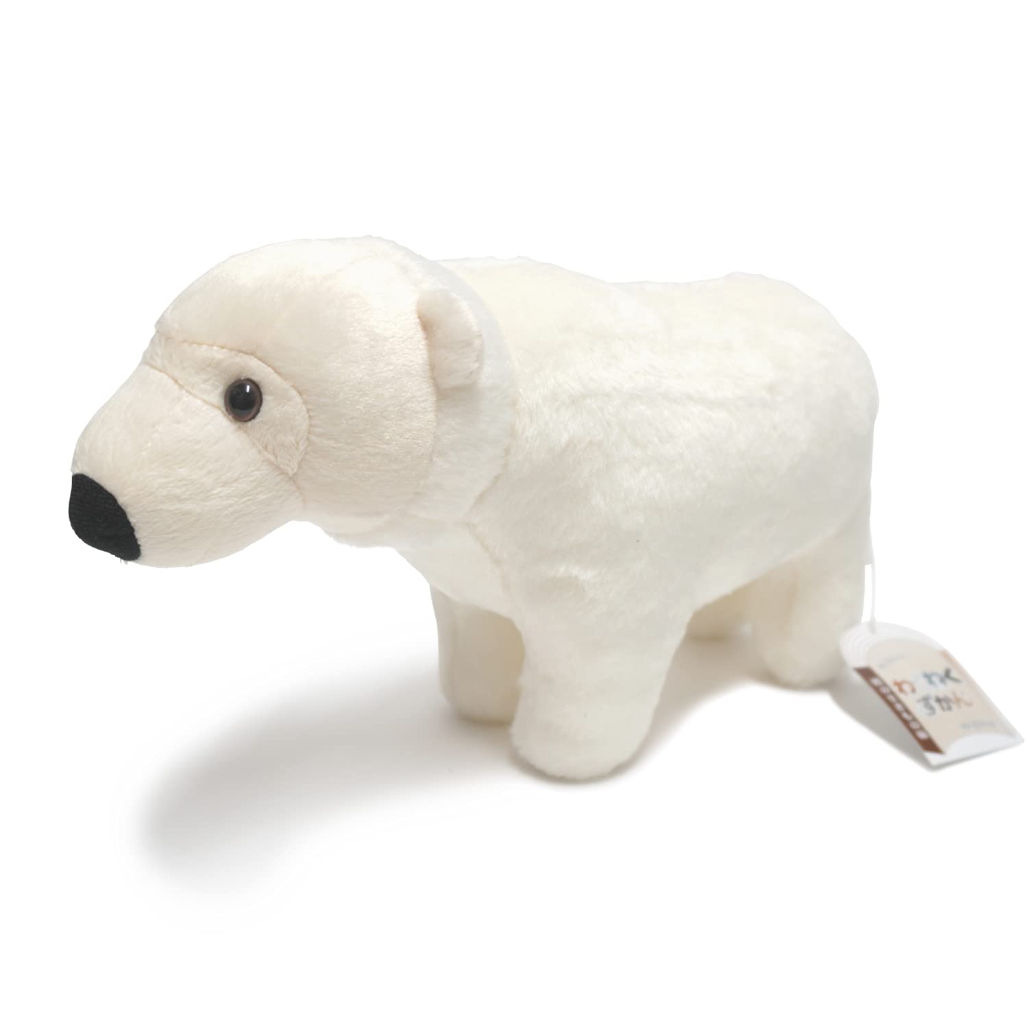 Exciting Illustrated Guide Land Creatures Edition Animal Plush Toy - (Polar Bear)