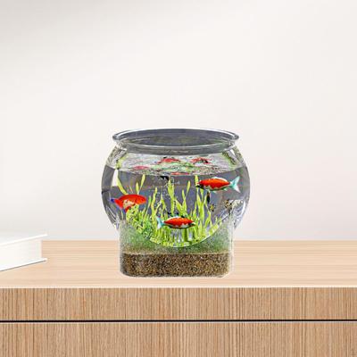 Aquarium Bowl for Fish, Clear Design Home Decor And Viewing