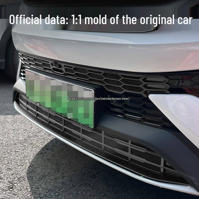 Anti-Insect Net Grille for 2023-2025 BYD Song PRO DMi