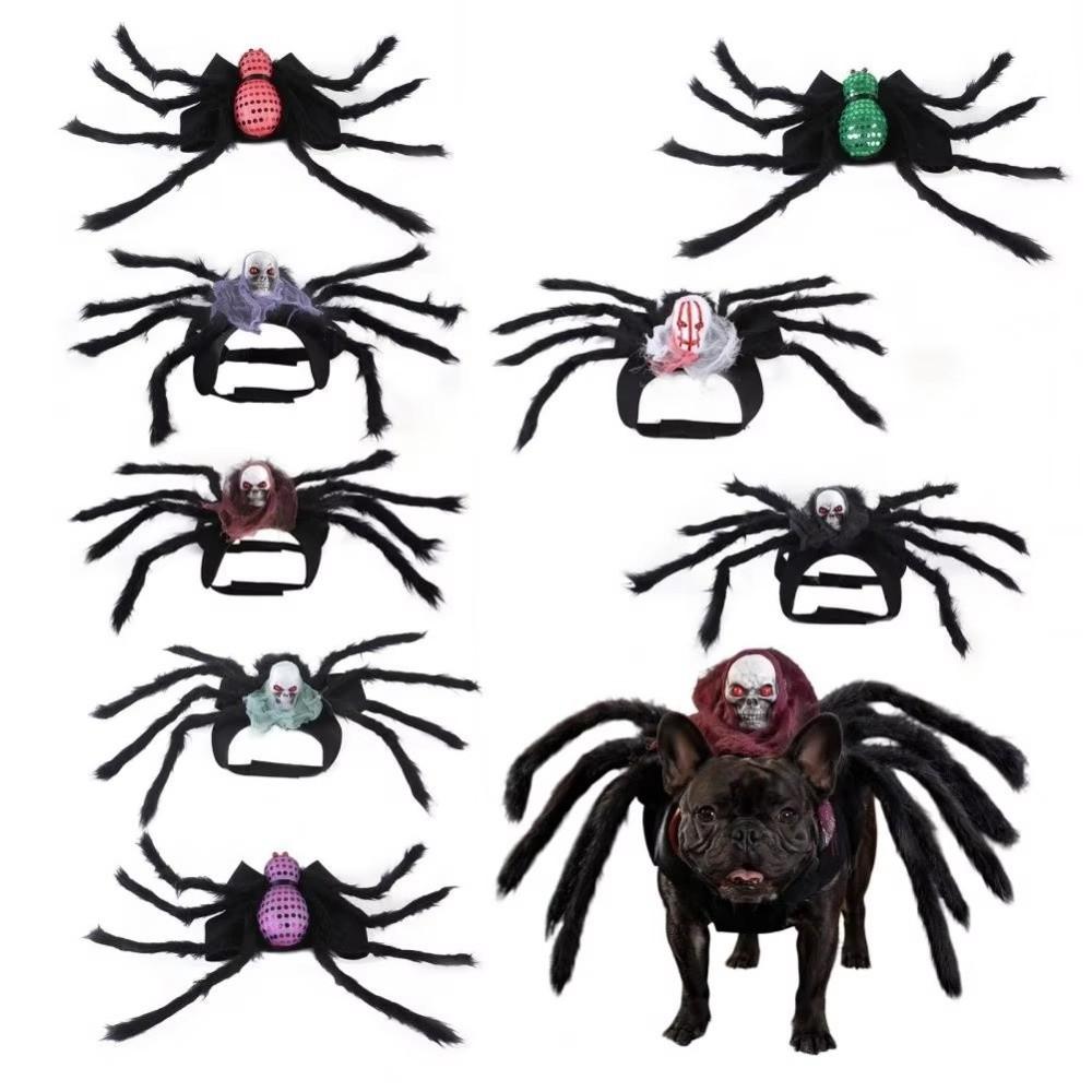Realistic Cat Spider Outfit Skull Face Design Pet Spider Costume for Prank Prop