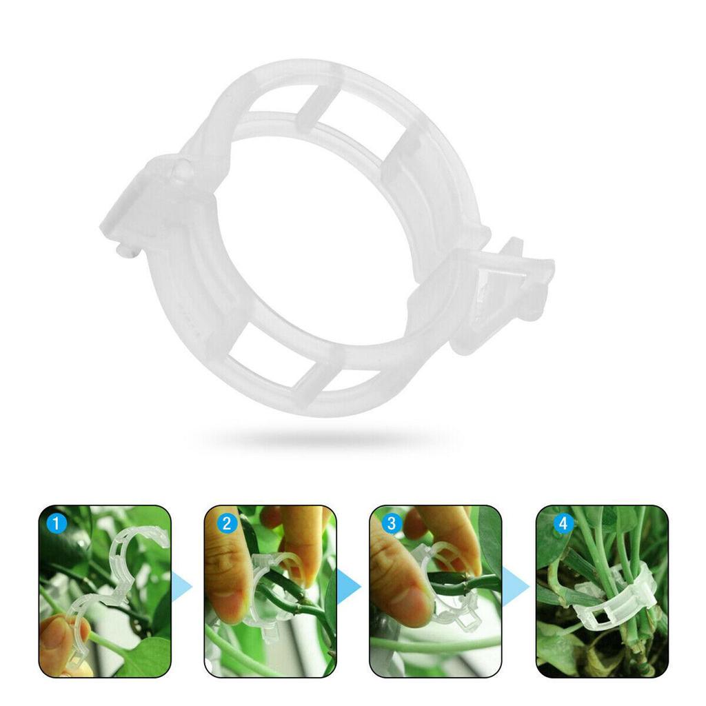 200Pcs Tomato and Veggie Garden Plant Support Clips Trellis Twine Greenhouse FA 200Pcs Tomato and Veggie Garden Plant Support Clips Trellis Twine Greenhouse FA