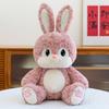 Popular Cute Doll Rabbit Plush Toy Doll Ornament for Girls Valentine's Day Birthday Gift