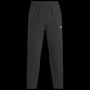Velociti Pro Storm Men's Running Pants