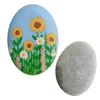 Pietricele netede plate Pictură artistică Stânci de râu Pietre naturale pentru meșteșuguri Articole de artă DIY Decorare pentru grădină