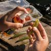 Spray Aromatico per Pesca su Plastica Morbida - Rigeneratore e Ricarica Aromatiche