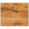 VidaXL Table Top 60x50x2.5 Cm Rectangular Solid Mango Wood, Wooden Table Top, Coffee Table Top, 371587