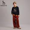 Hazzys Boys' Round Neck Pullover Sweater