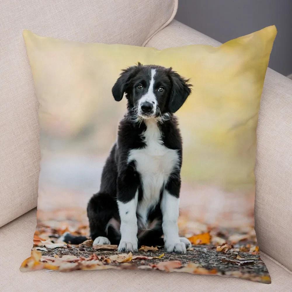 Cute Pet Animal  Cushion Cover Scotland Border Collie Pillowcase for Sofa Car Decor Dog Printed Soft Plush Pillow Case