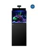 Vissen en zeedieren – Aquarium onderhoud