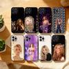 Slavná zpěvačka S-Shakira Pouzdro na telefon Pro iPhone17,16,15,14,13,12Plus,Pro Max,XS,5G Měkký silikonový černý kryt
