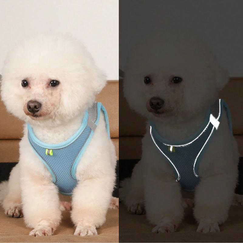 1PC Dog Leash + 1PC Night Reflective Vest Small Dog Cat Pet Collar Leash Set For Walking Dogs L