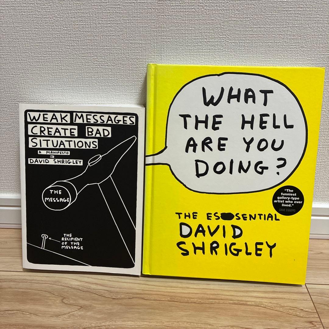 David Shrigley art book set 2