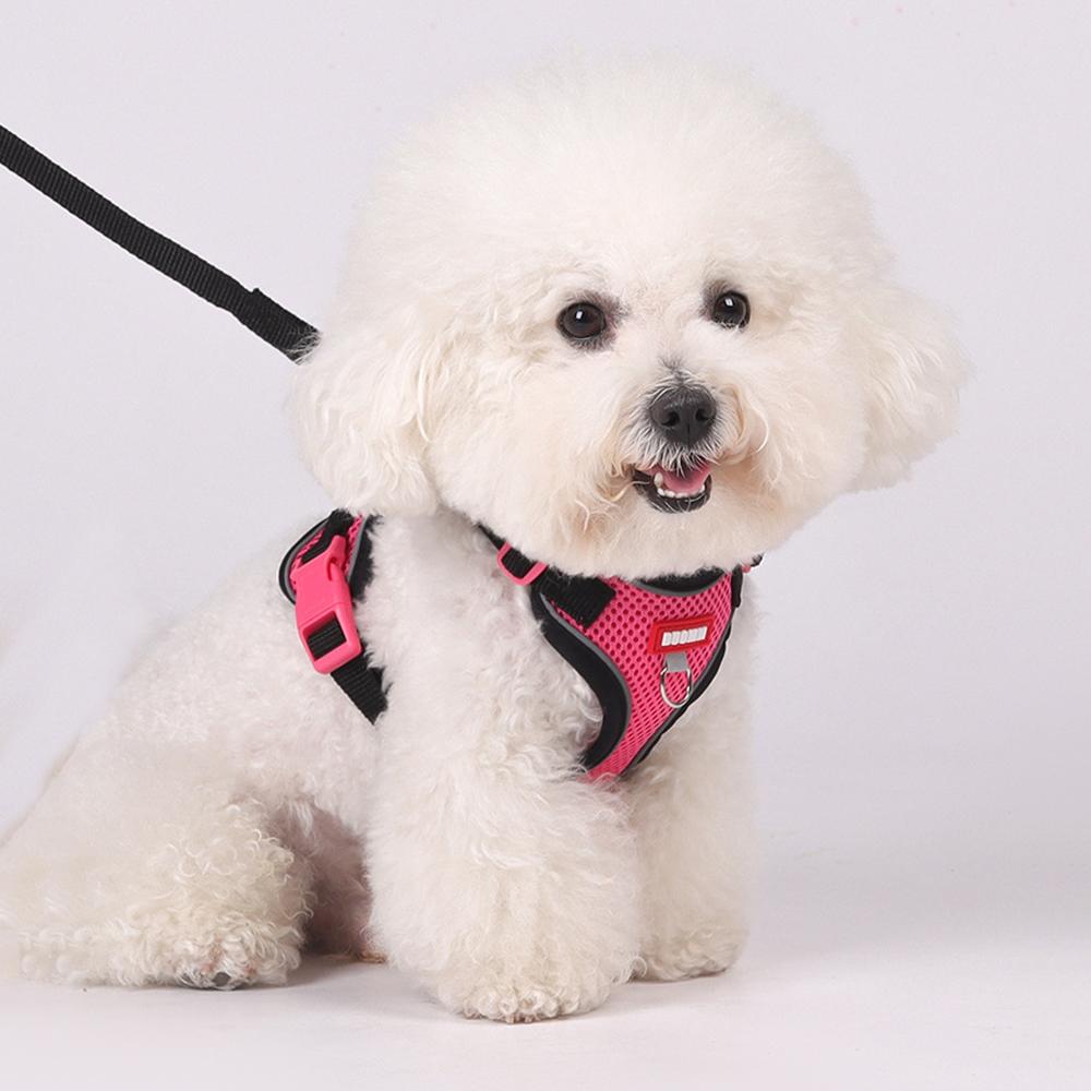 Fashion Pet Harness and Leash Set for Small Dogs Summer Breathable Puppy Dog Vest Harnesses Pinscher Chihuahua mascotas Supplies