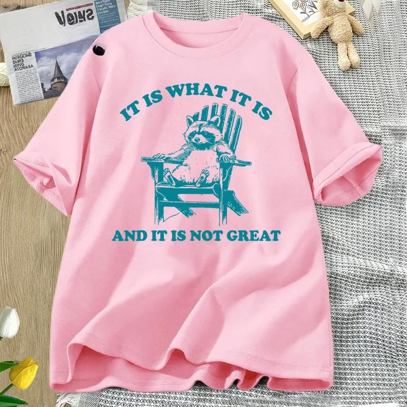 It Is What It Is and It Is Not Great Funny Raccoon T Shirt Women Trash Panda Opossum Graphic T-shirts Short Sleeve Tees