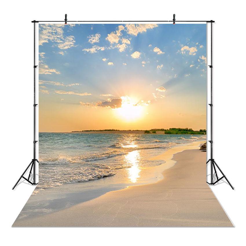 Sea Beach Sand Cloudy Blue Sky Scene Summer Beach Photography Backdrop for Photo Studio Tropical Palms Coconut Tree Background