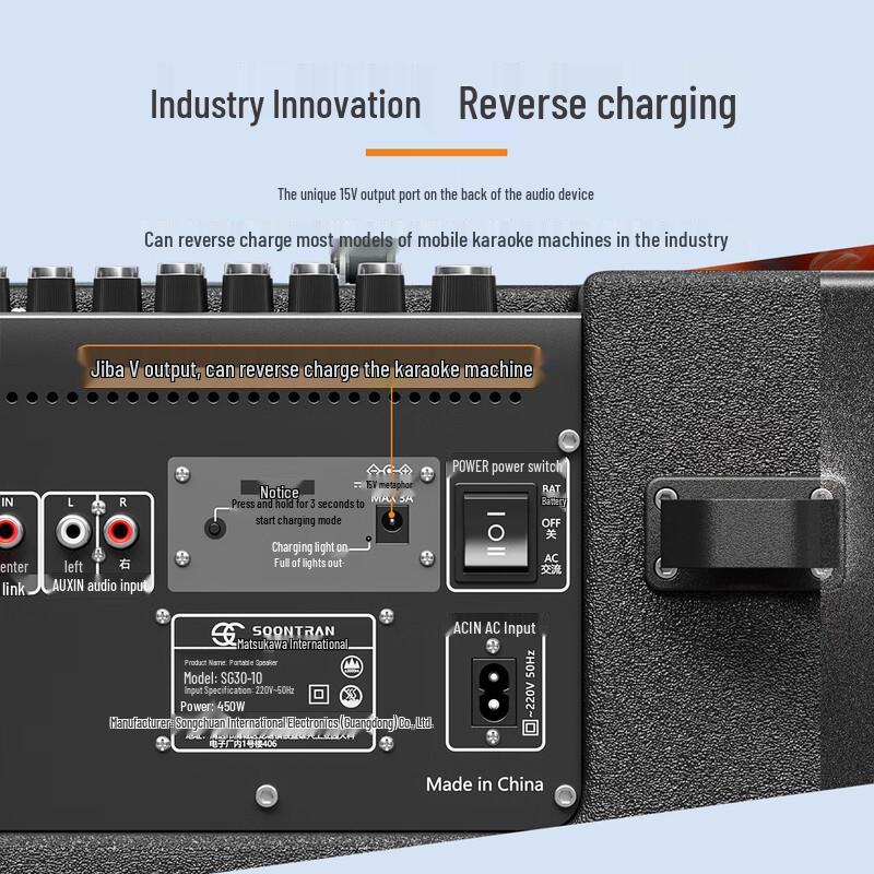 SG30 Series Portable Outdoor PA/Karaoke Speaker