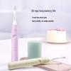 Philips HX2411 Series Sonic Electric Toothbrush