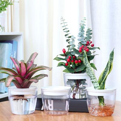 Blumentopf, transparent, auslaufsicher, verdickt, rissfest, selbstbewässernd, dekorativer Hydrokultur-Blumentopf, Garten-Pflanztopf, Fenster-Blumentopf