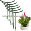 Climbing Vine Flower Support Stake for Garden and Bonsai