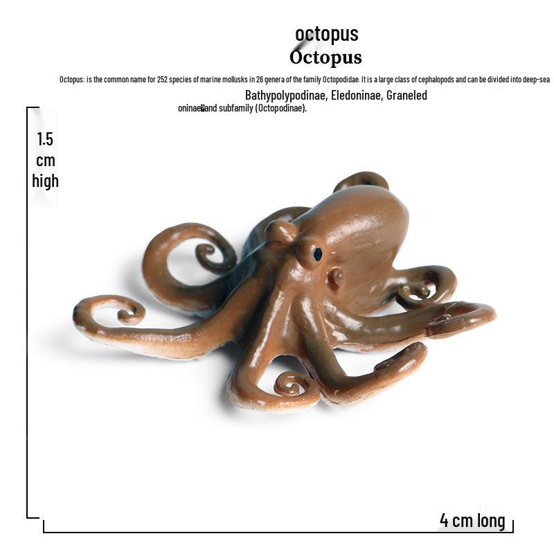 Children's Marine Animal Toy Set: Megalodon, Beluga, Octopus, Turtle, Dolphin & Manta Ray
