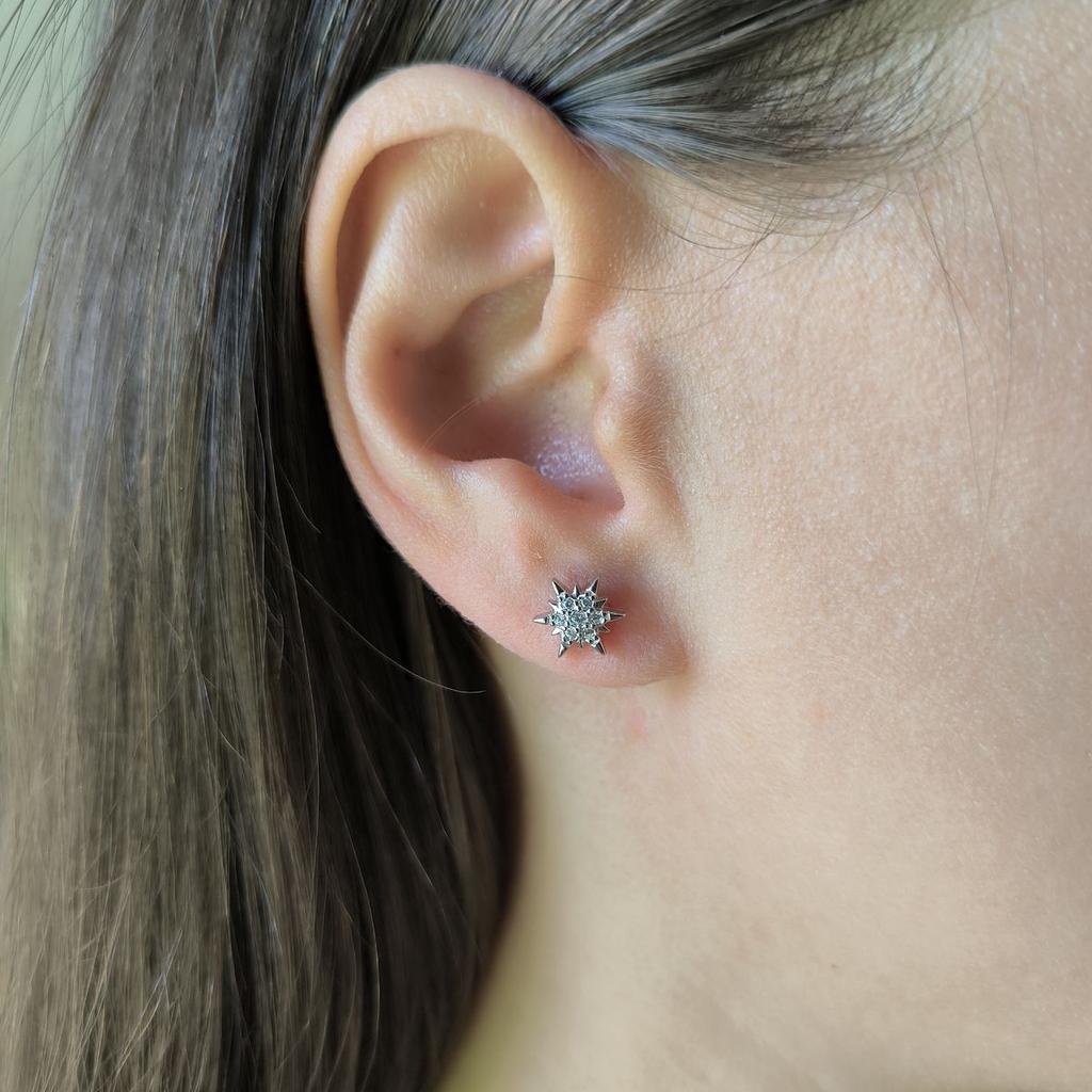 Silver Earrings with Cubic Zirkonia (2191674)