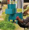 Multi-Functional Electric Vegetable Chopper and Grinder for Poultry and Aquaculture