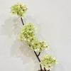 Artificial Pear Blossom Branches Fake Silk Long Stem Plum Peach Plants for Spring Indoor Party Wedding Home Table Decoration