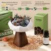 Wilderness Secret Scented Stone Diffuser Gift Set - Indoor Flameless Aroma Ornament for Holidays and Parties