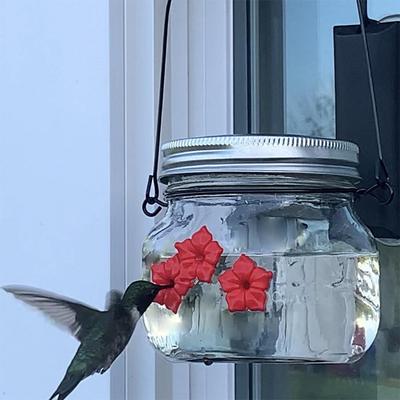 Buiten Ophangbare Vogelvoederbak Plastic Kolibrie Voederbak met 3 Voedingsopeningen en Doorzichtig Raam voor Tuin en Terras