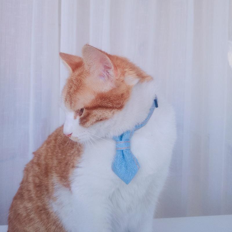 Pet Bow Tie Adjustable Cat Necktie Denim Puppy Collars Fashion Cat Neck Bow Pet Neck Tie Party Wedding Decoration Dog Accessorie