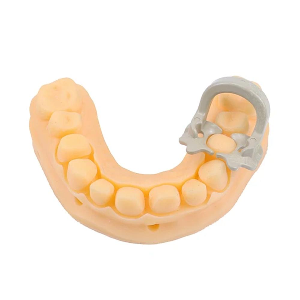 4pcs/Box Dental Rubber Dam Clamps Barrier Clips Resin Clip Autoclavable 134°C Large/ Small Dental Material Dentist Tools