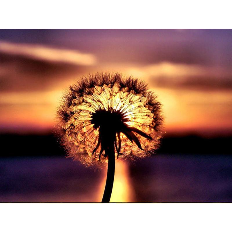 Diamantmaling Løvetann Full Firkant Mosaikkkunst Solnedgang Diamantbroderi Landskap Bilde av Rhinestone Hjemmedekor