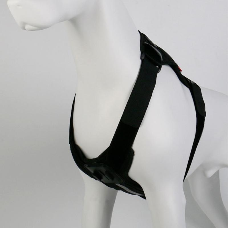 Soft Padded Pet Harness Compatible for Sports Cameras Recording from Your Dog's Perspective with Accessories