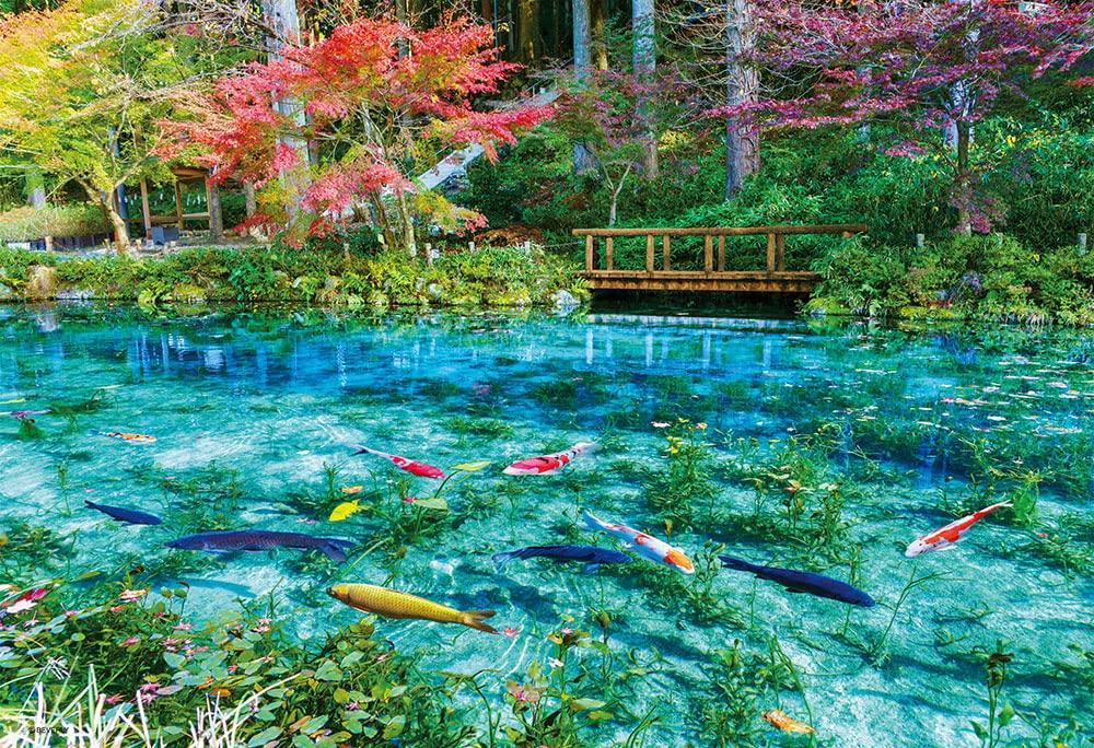 

Beverly (BEVERLY) [Made in Japan] Beverly 300-Piece Jigsaw Puzzle: Monet s Colorful Pond (26 x 38 cm) 300-025