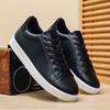 Men's Shoes Casual Fashion Casual Versatile Low-top Shoes High-end European Men's Board Shoes 10