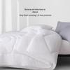 Mercury Home Textiles Australian Wool Four Seasons 2-in-1 Quilt