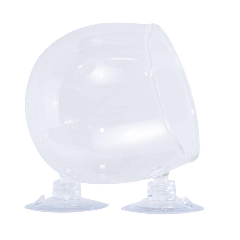 Glass Aquarium Plant Pot for Various Fishtanks with Suction Cup for Freshwater Saltwater Aquarium Landscape Plant Cup