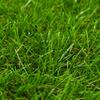 Vidaxl Artificial Turf, 1X2 M; 40 Mm, Green