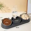 Double Bowl Pet Food Water Dish Feeder For Dog Cats Daily Feeding with Automatic Water Dispenser For Pet Dry Wet Food