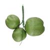 Fruit Ornament Artificial Coconut Fake Farmhouse Decor Simulated Fruit Props Ornaments Simulated Coconuts Artificial Fruit Props