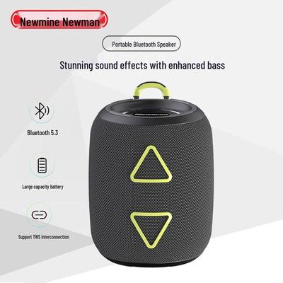 Newmine BT87 Portable Bluetooth Speaker CN Plug (adapter Included)