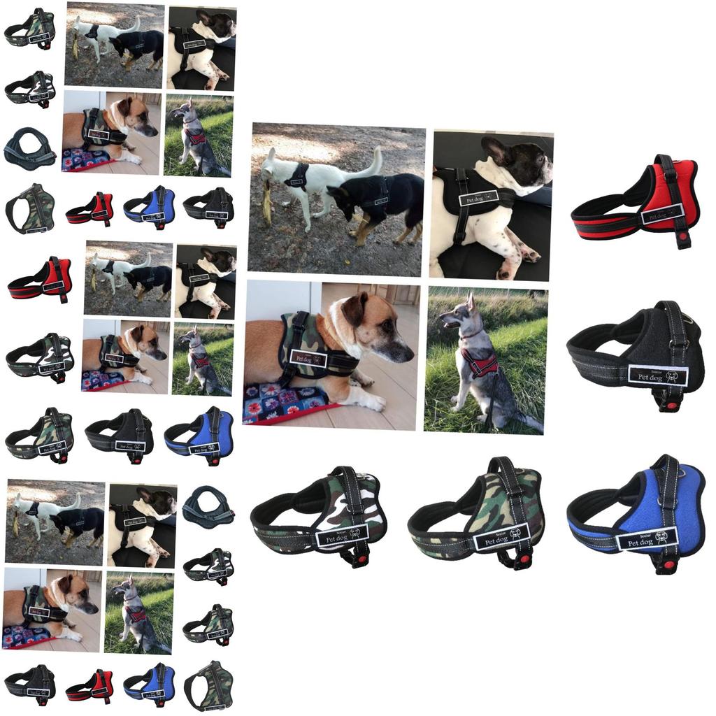 Premium Quality Pet Chest Harness And Leash For Medium To Large Dogs Adjustable Durable And Stylish