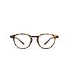 Intellilens Round Blue Cut Computer Glasses for Eye Protection with Lens Cleaner Solution for Spectacles | Zero Power, Anti Glare (48-22-140)