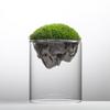 Glass Terrarium For Mountain Views Moss Planter Hydroponic Plant Container Multifunctional Cup Home Decoration Great Gift