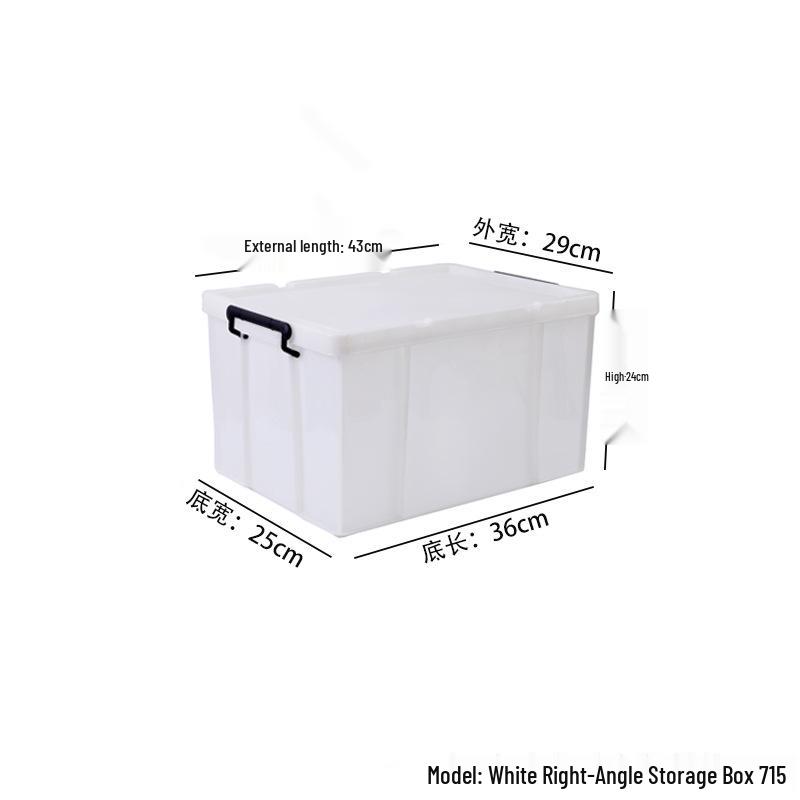 Large Transparent Handheld Food-Grade Storage Box