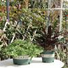 Removable Hanging Basket Round Flower Pots Reusable Wall Hanging Flower Pot  Balcony